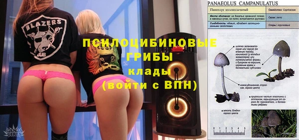 ECSTASY Алексин