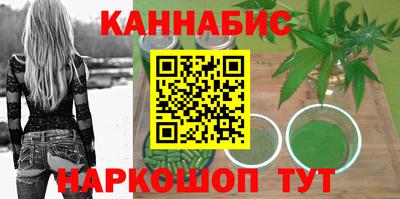 МДПВ Новозыбков