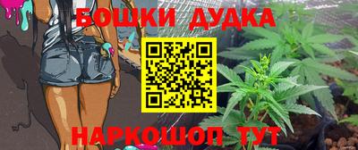 сатива Аргун