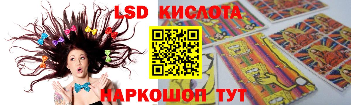 blacksprut ссылки  LSD-25 экстази ecstasy  Ревда  Вход с VPN  Лсд 25 экстази ecstasy 