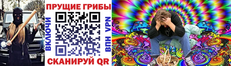 Галлюциногенные грибы Cubensis  Ревда 