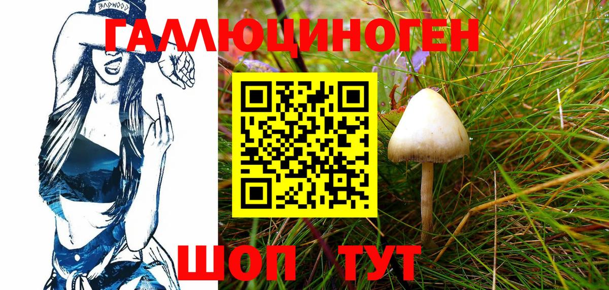 Псилоцибиновые грибы GOLDEN TEACHER Ревда